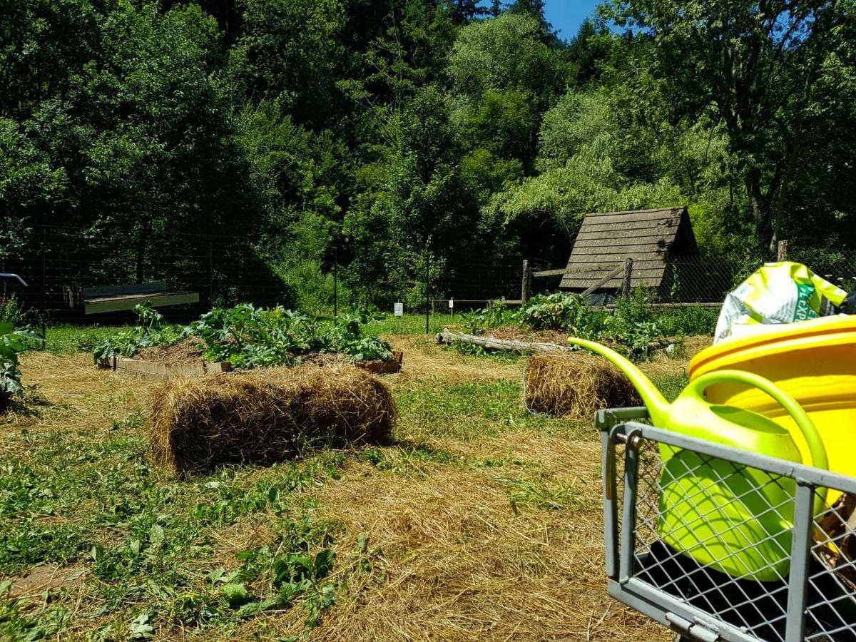 Vvf Sud Aveyron Hotel Brusque Bagian luar foto
